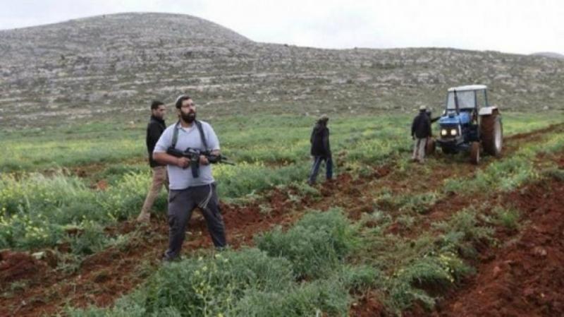 مستوطنون يهاجمون المزارعين في حلحول شمال الخليل