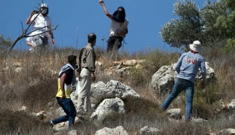بيت لحم: مستوطنون يرعون أغنامهم في أراضي قرية المنية