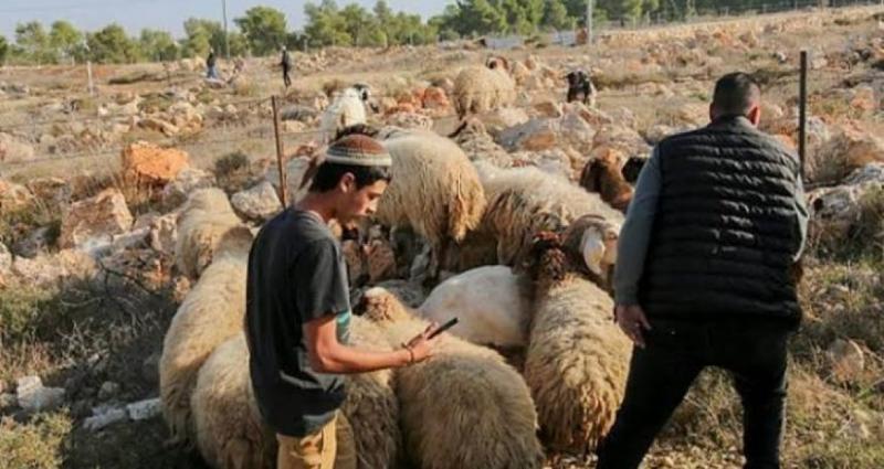 تحذيرات من تصاعد التوسع الاسيتطاني في بيت إكسا شمال القدس