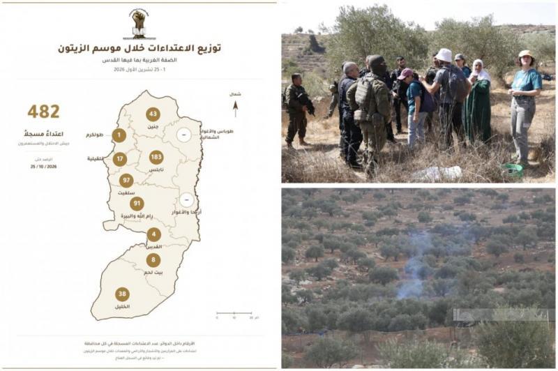 "مقاومة الجدار والاستيطان": من شمال الضفة إلى جنوبها.. 482 اعتداءً على قاطفي الزيتون وأراضيهم