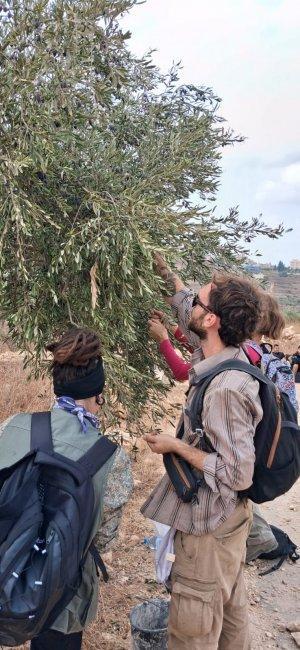 إصابات بالاختناق جراء هجوم للمستوطنين على مواطنين ونشطاء أجانب غرب رام الله