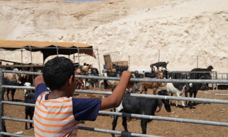 من شلال العوجا إلى العوسج .. تهجير يتبدل شكله ولا ينتهي
