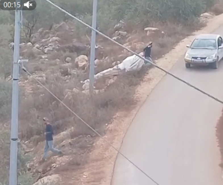 بالفيديو.. مستوطنون يهاجمون قاطفي زيتون ويسرقون معدات في بيتا جنوب نابلس