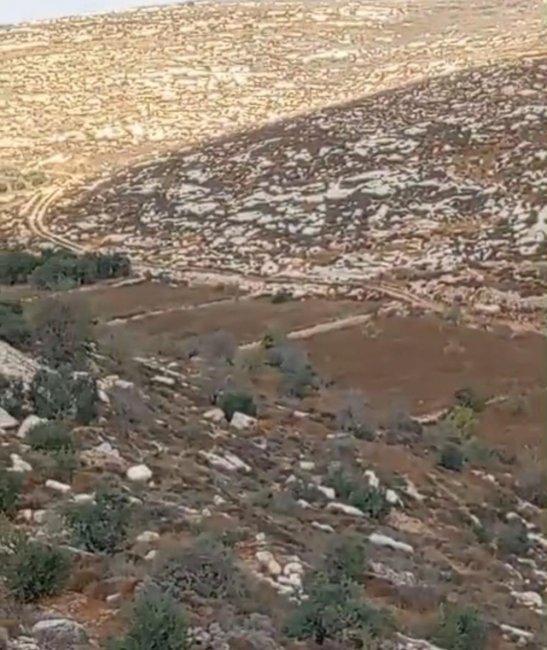 آليات الاحتلال تواصل شق طريق استيطاني في وادي المغارات بالخليل