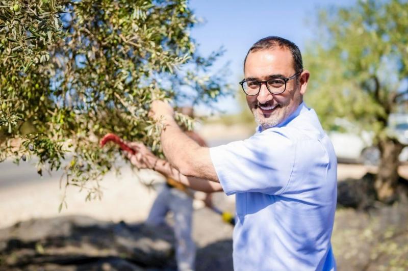 الطيبة أمام موسم زيتون رابع مهدد: حين يملك المزارع الزيتون ويُجبر على شراء الزيت