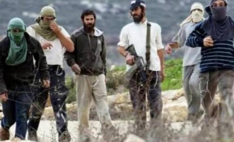 مستوطنون يهاجمون منزل مواطن شرق أم صفا